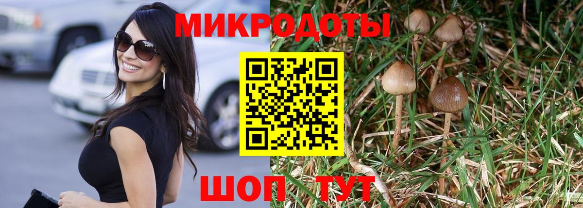 Сухой Лог  Галлюциногенные грибы Psilocybine cubensis  Вход с VPN  Галлюциногенные грибы Psilocybe 